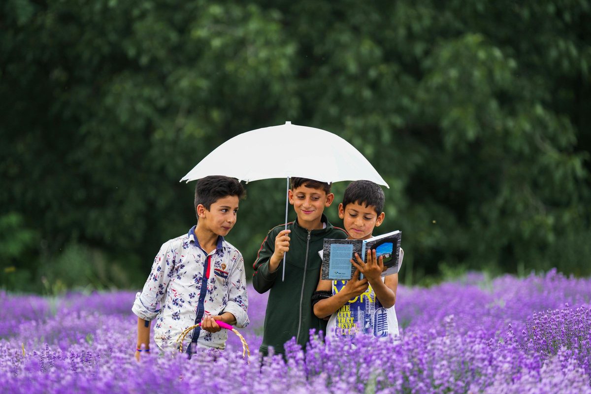 Children in a lavender field in Kashmir