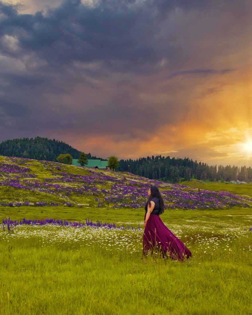 Kashmir alpine meadow at golden sunset