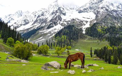 Sonamarg