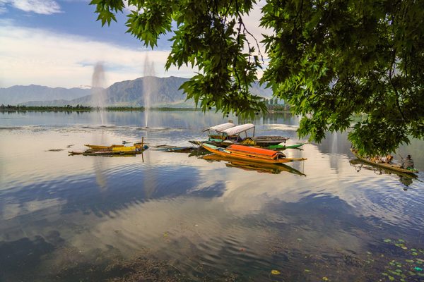 Srinagar