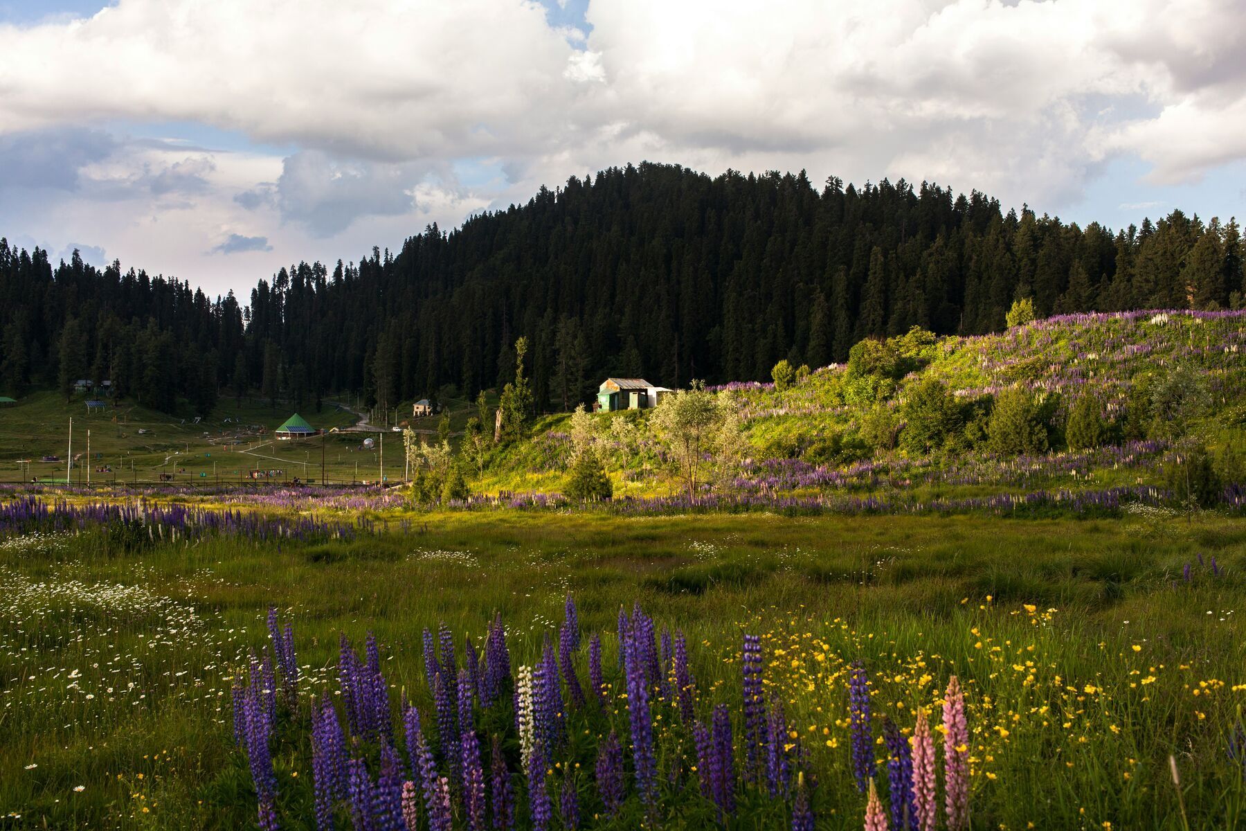 Gulmarg