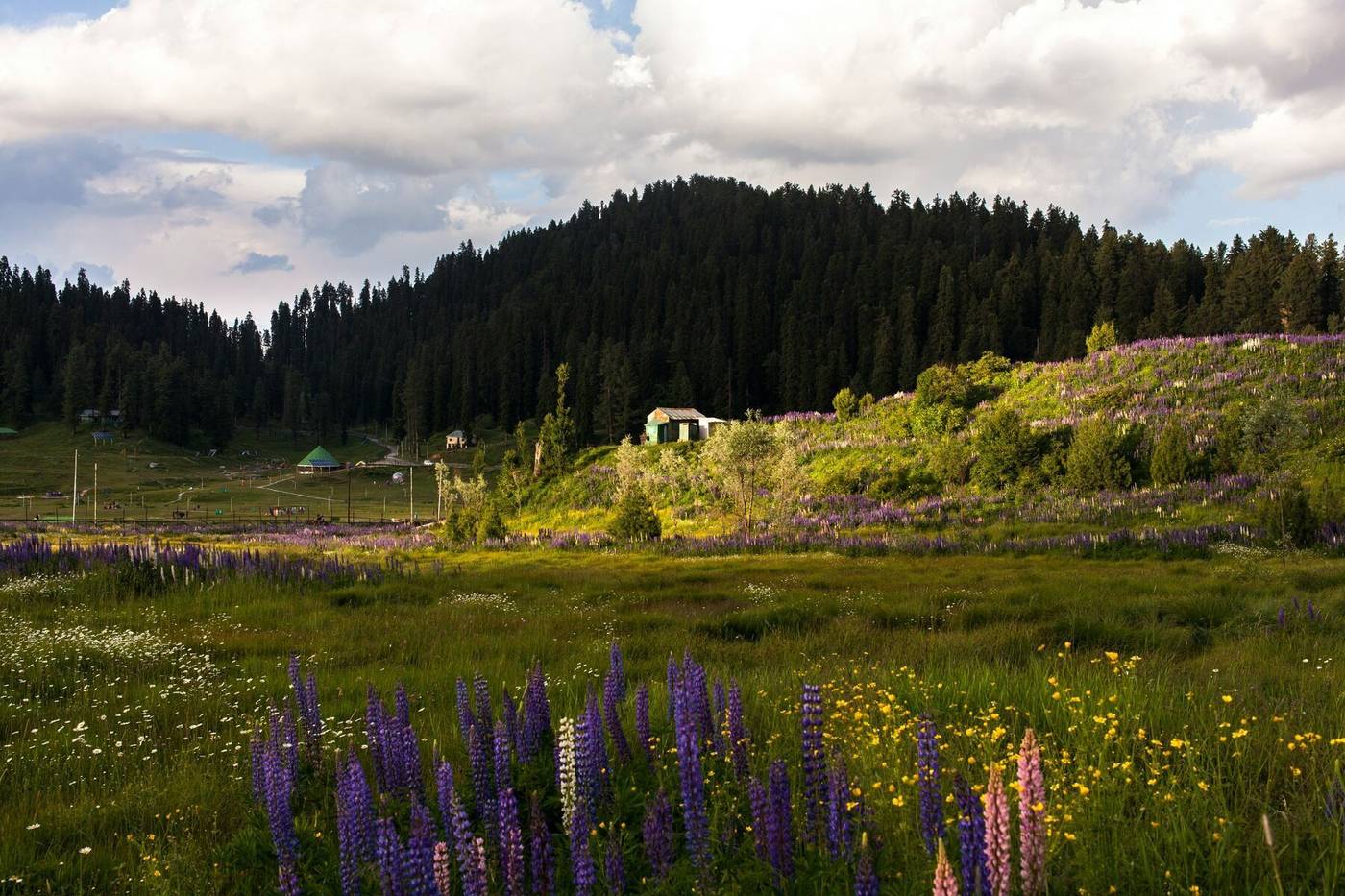 Gulmarg